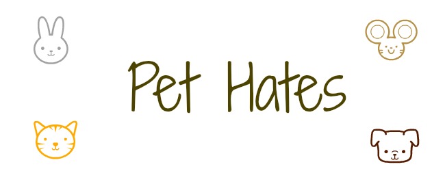 Pet Hates - Do They Sound Familiar?