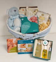 7909044 Organic Baby Gift Basket - Boy