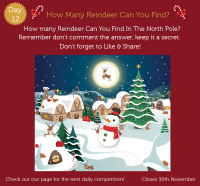 How Many Reindeers Are Hiding?