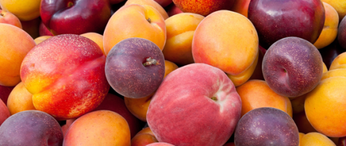 Peaches-Plum