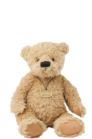 Braydon Bear from Gund Collection 