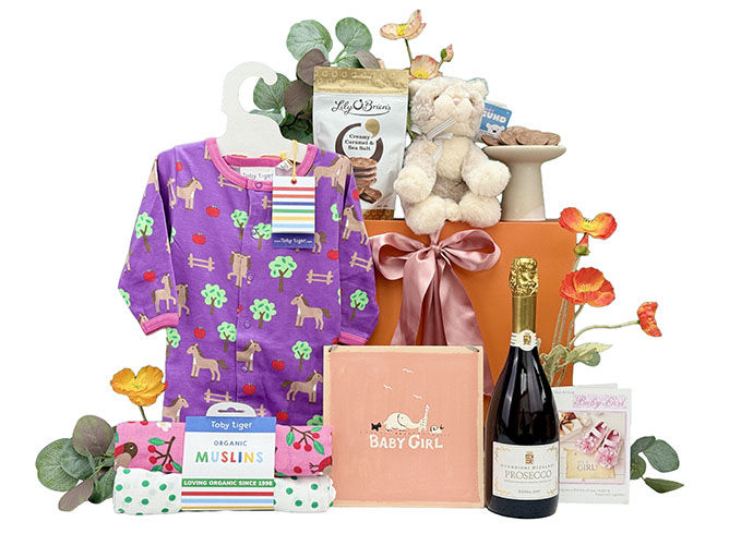 Baby Gifts Hamper Time To Celebrate Girl