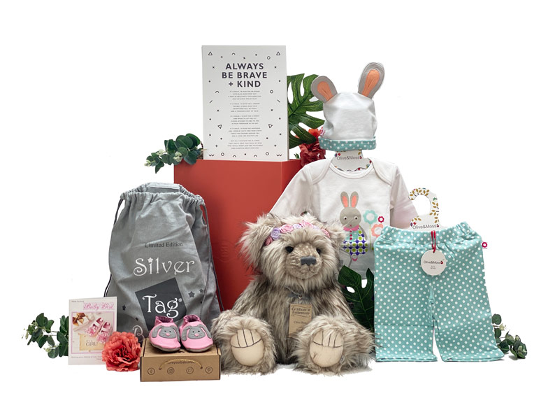 Baby Gift Hopes and Wishes Girl  