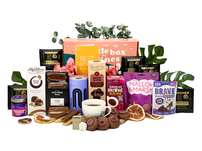 Best Wishes Comforting Hamper Gift 