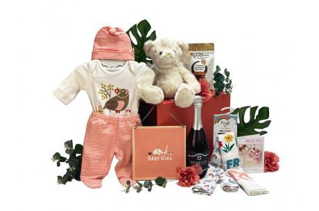 Baby Gift Time To Celebrate Girl Hamper 