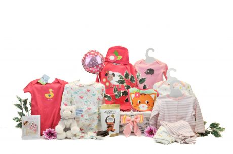 Stylish Baby Girl Gift Basket