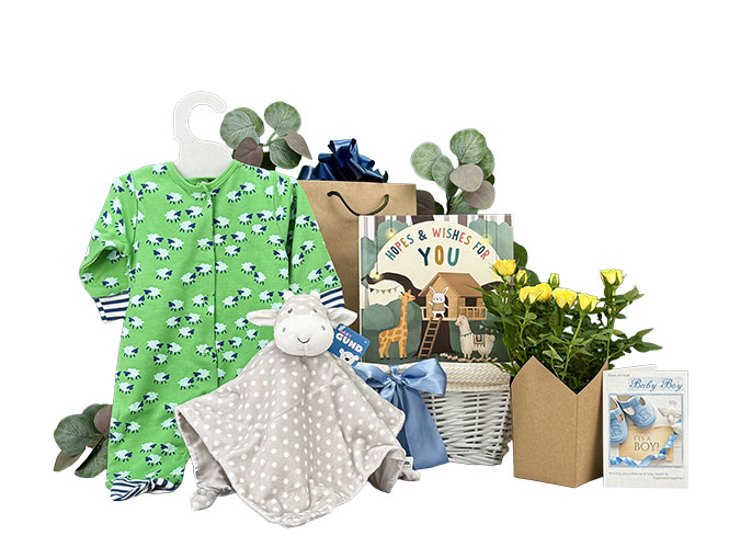 Flowers For Baby Boy Gift Basket 