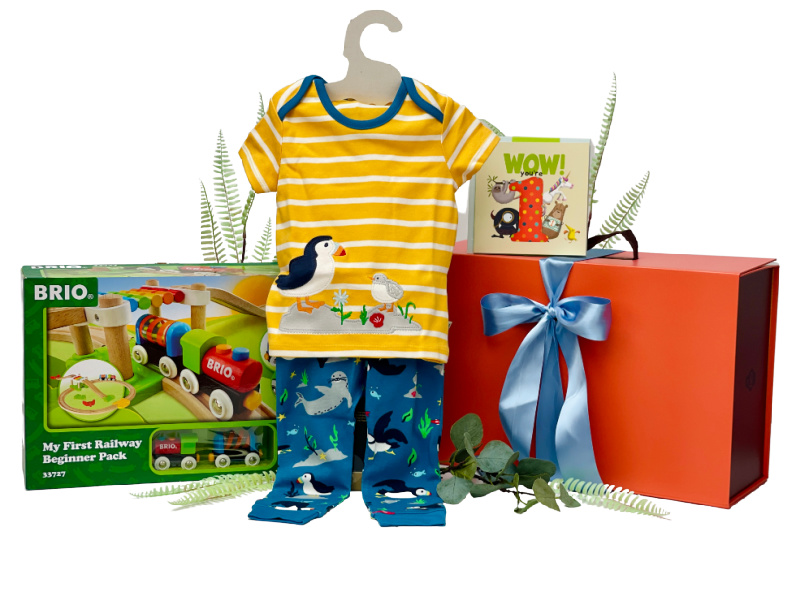 Railway Fun Boys 1st Birthday Gifts