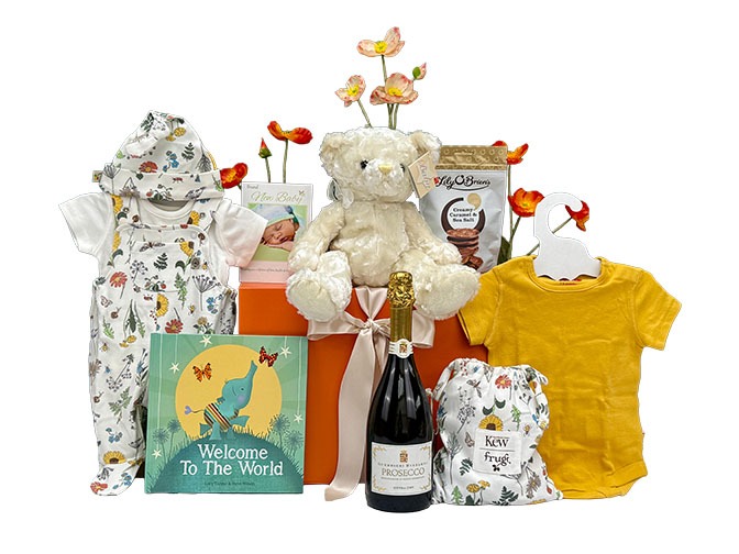 Unisex New Baby Celebration Gift Hamper