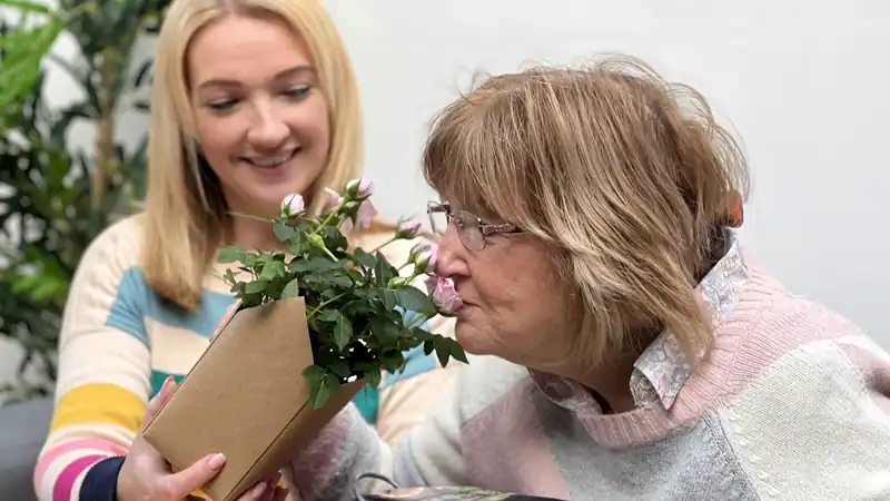 Why choose between beautiful and practical